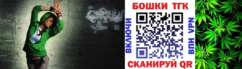 Бошки марихуана THC 21%  Троицк 